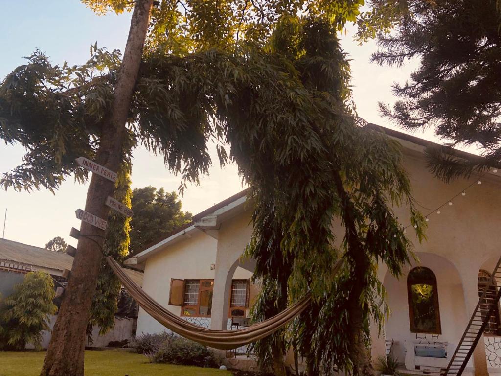 a tree with a hammock in front of a house at Safariadventures-House in Arusha
