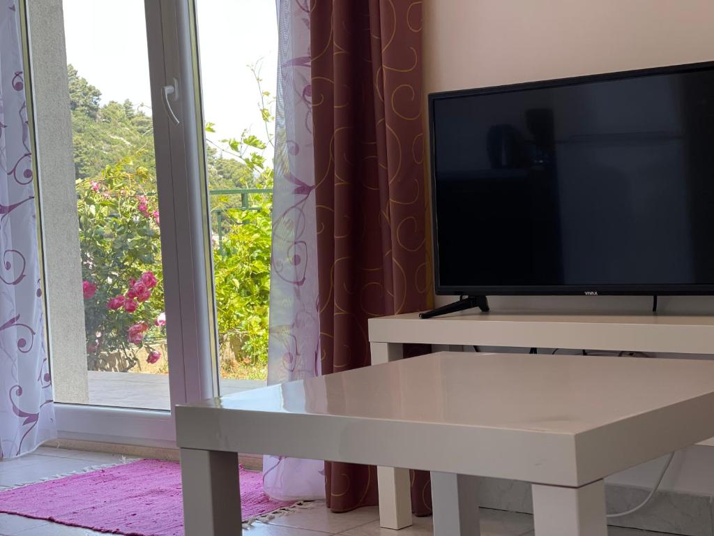 TV a/nebo společenská místnost v ubytování Villa Evita Apartments
