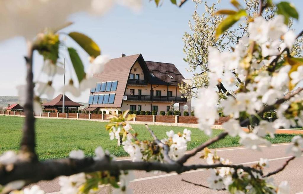 a house behind a tree with white flowers at Pensiunea Miorița Putna in Putna