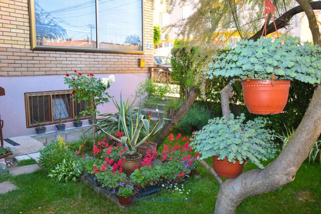 Zahrada ubytování Apartman Wisteria