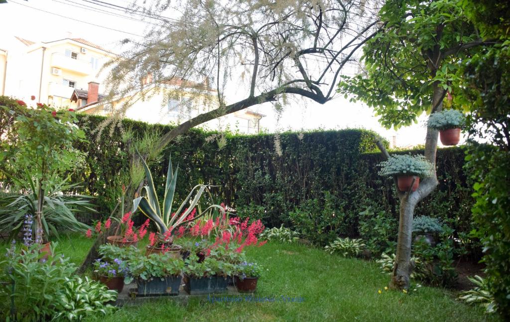 Zahrada ubytování Apartman Wisteria