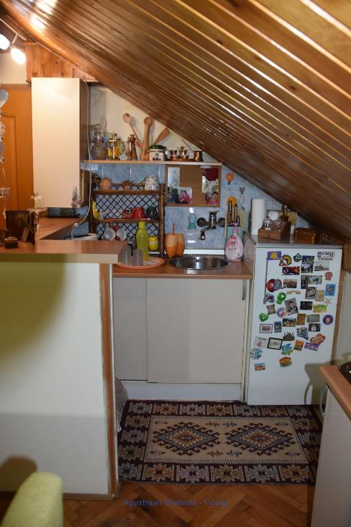 Kuchyň nebo kuchyňský kout v ubytování Apartman Wisteria