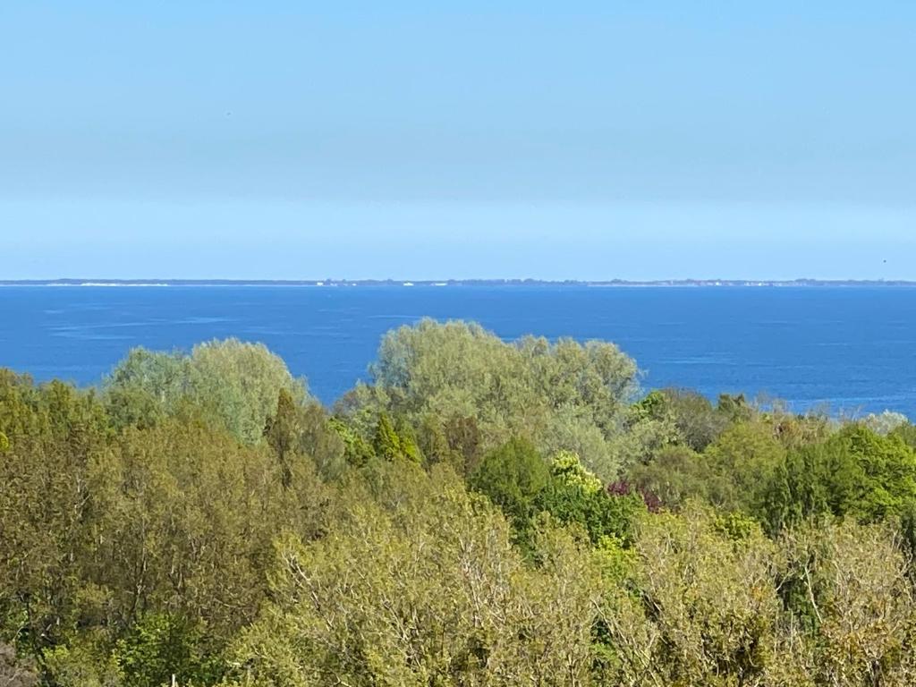 widok na ocean z wzgórza z drzewami w obiekcie Apartament Sopot Oliwia III w mieście Sopot