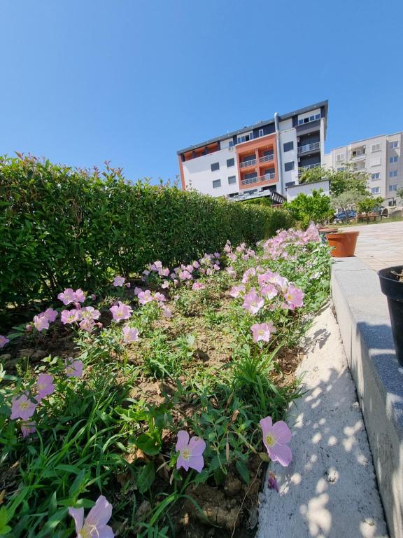 HOLIDAY HOME - Image 6