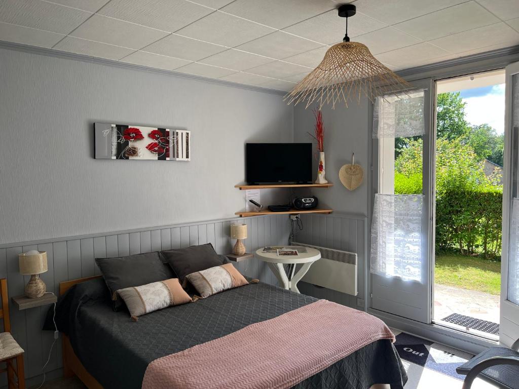 Schlafzimmer mit einem Bett, einem TV und einem Fenster in der Unterkunft Aux hameaux des thermes in Bagnoles de l'Orne