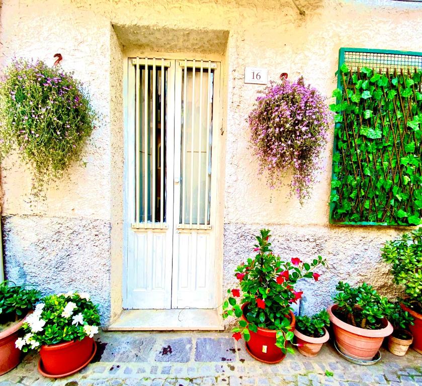 une porte avec un tas de plantes en pot devant un bâtiment dans l'établissement Largo piano, à Scilla