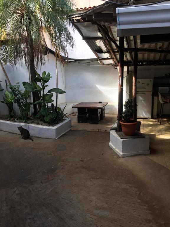 Fotografie z fotogalerie ubytování Pura Vida Hostel v destinaci Tamarindo