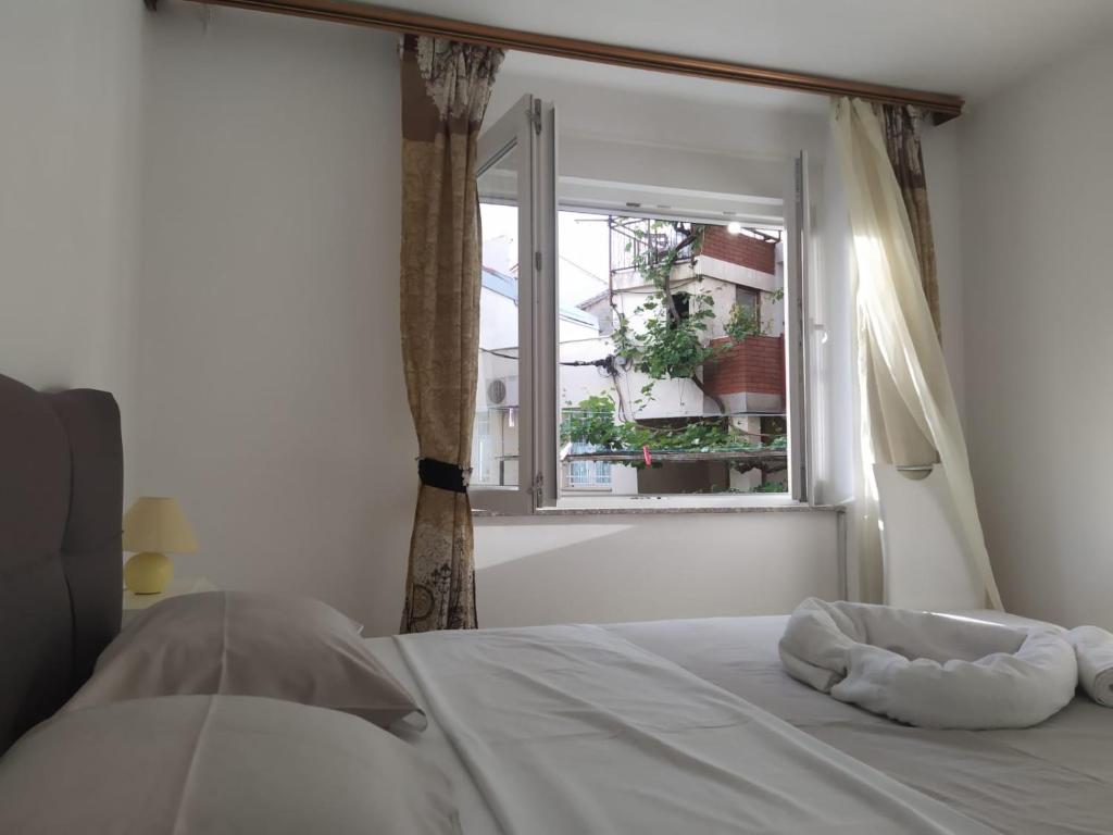 Fotografia z galérie ubytovania Braavos Apartment 2 - Šibenik city center v Šibeniku