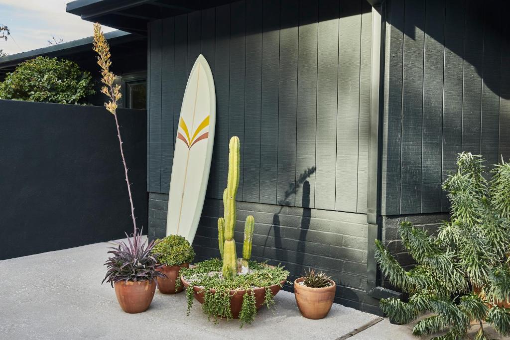 Hotel June Malibu photo