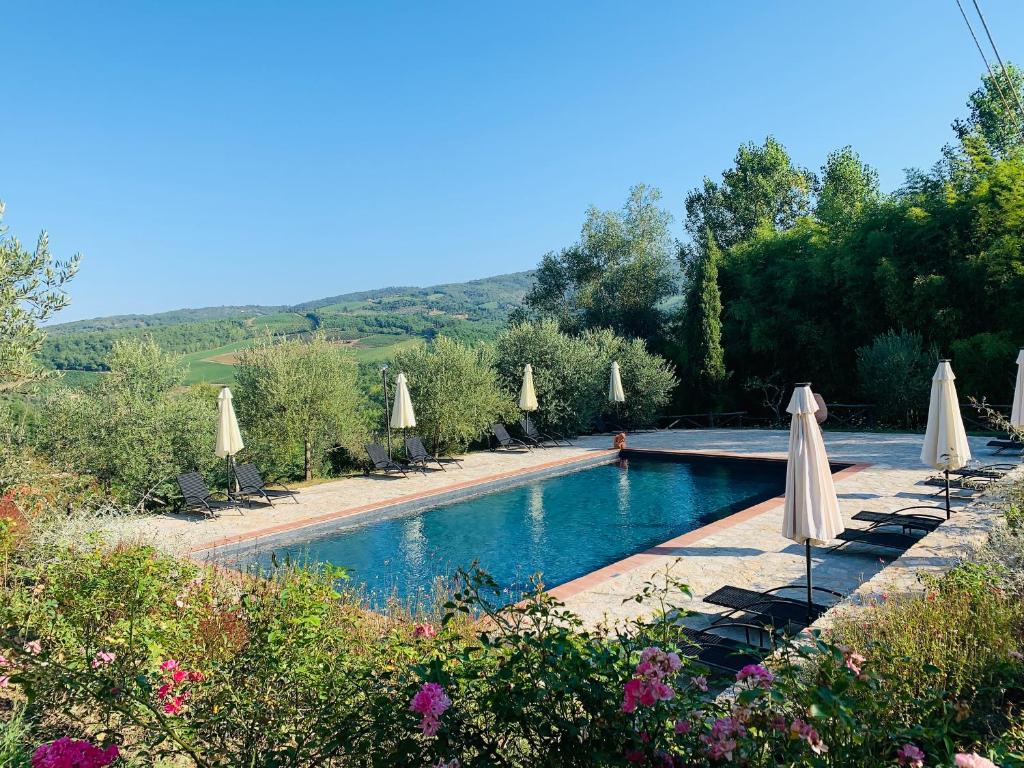 basen z białymi parasolami i krzesłami w obiekcie Agriturismo Borgo Il Bonagino w mieście Radda in Chianti