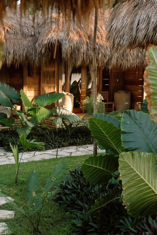 Un jardín fuera de Sumba Beach House