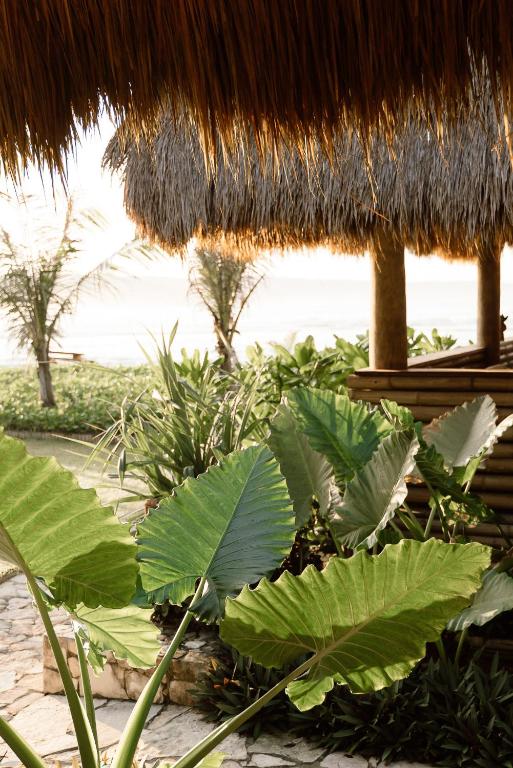 Un jardín fuera de Sumba Beach House