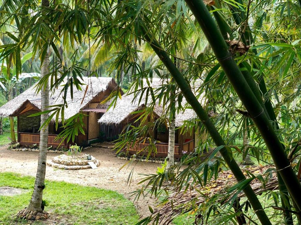 New Agutaya的住宿－Babaland，透过树林欣赏房子的景色