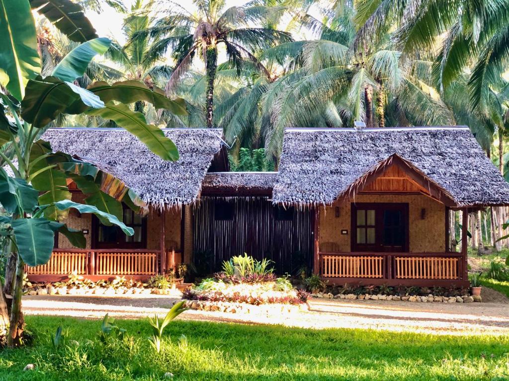 a small house with a purple roof with palm trees at Babaland in New Agutaya
