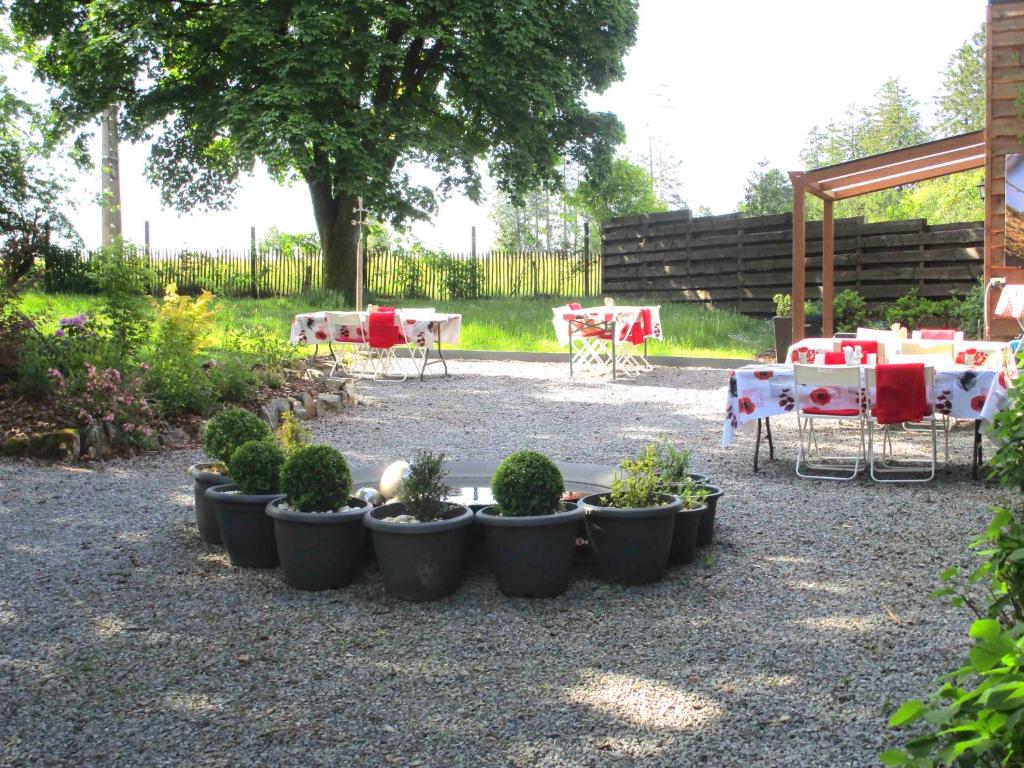 Zahrada ubytování Le Relais des Fagnes