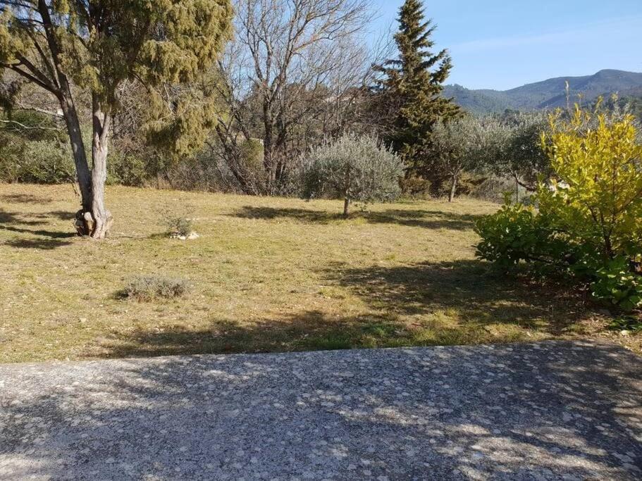 a field of grass with a tree and a road at Résidence Lou Cigaloun - ANA LOCATION in Gréoux-les-Bains