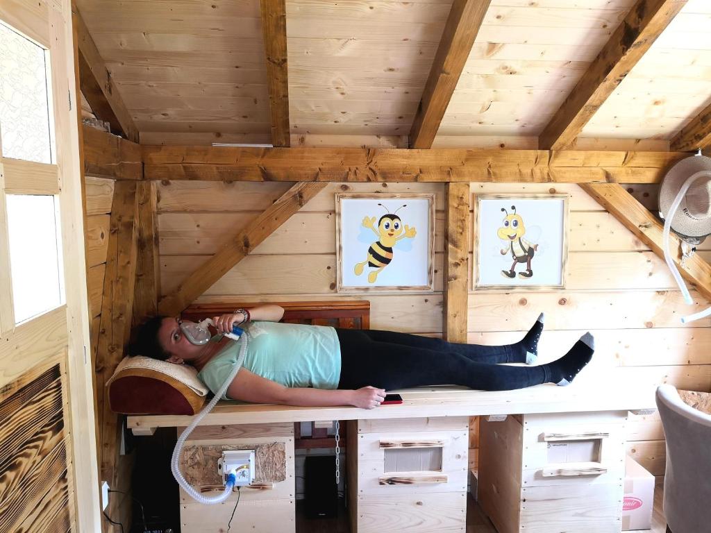 Hosté ubytování Koliba Pčelica 1-SPA