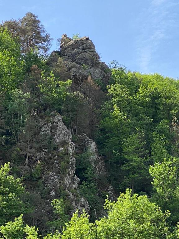 a large rocky mountain in the middle of trees at Dúplex Roca del Sucut in Ribes de Freser
