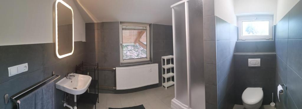 Kúpeľňa v ubytovaní Podlovics Tanya Panzió