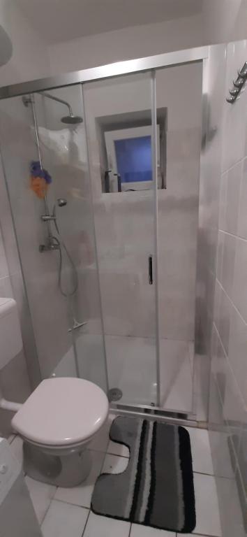 a bathroom with a toilet and a glass shower at Apartment Pijer in Novalja