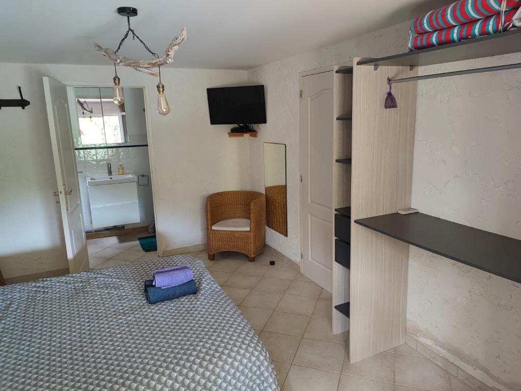 TV a/nebo společenská místnost v ubytování Appartement en pleine nature avec piscine chauffée