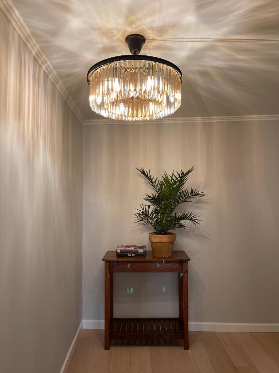 SOFS boutique hotel - Resim 33