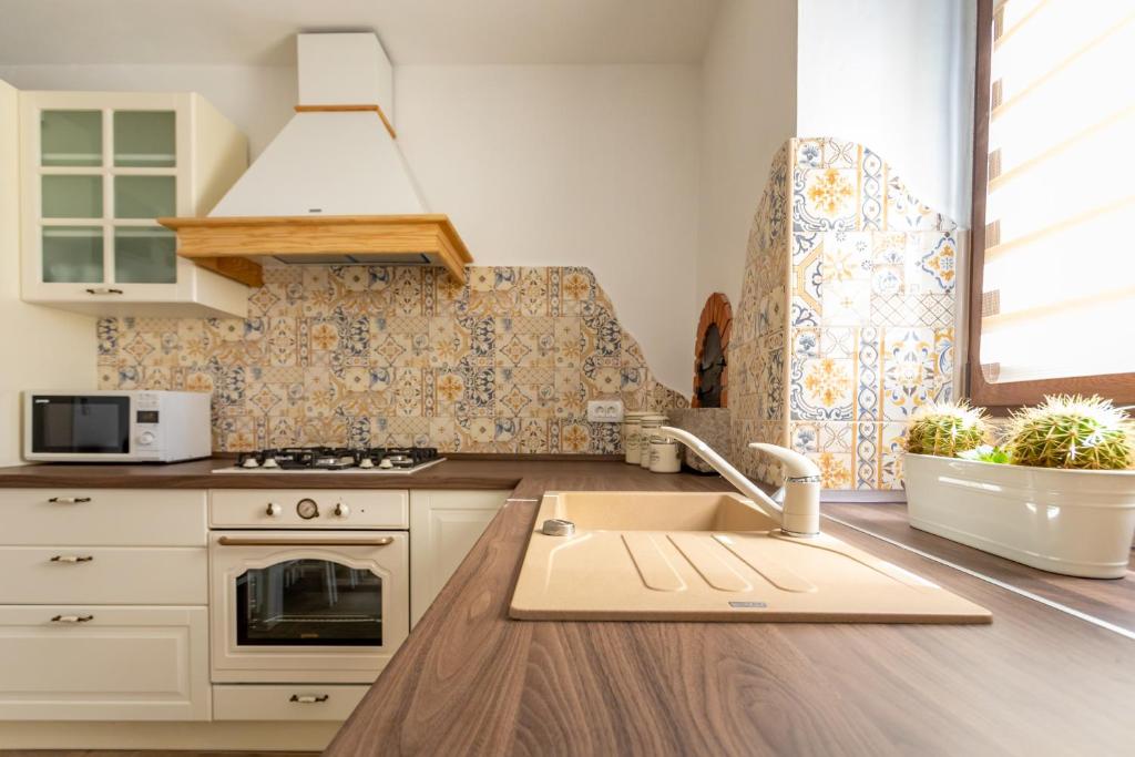 Kuchyň nebo kuchyňský kout v ubytování Holiday house PAVOVCI