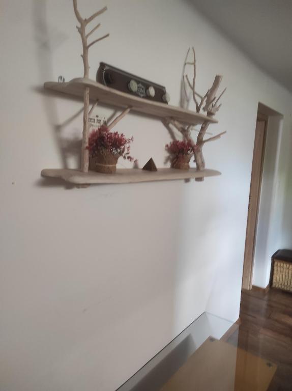 Zdjęcie z galerii obiektu Hostel Texas w mieście Suwałki