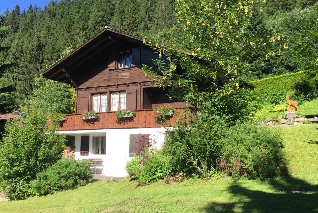 una casa al lado de una colina en Ferienwohnung Betula en Schwarzsee