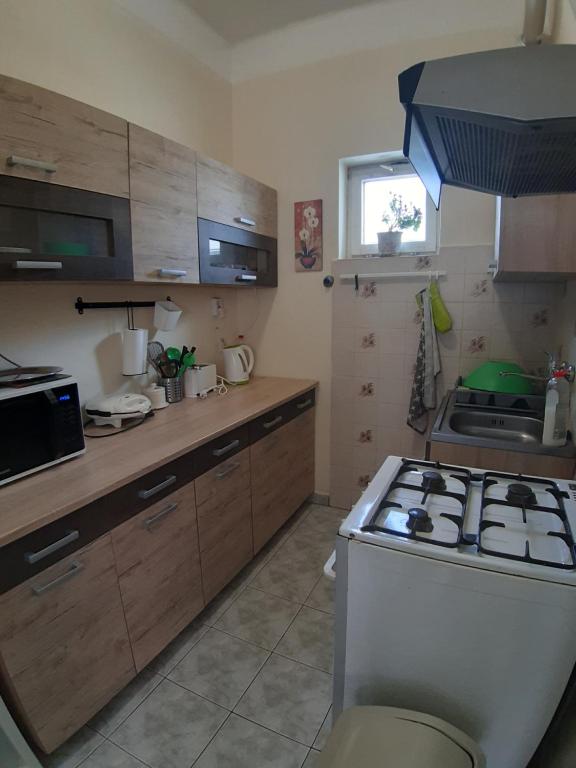 Kuchyňa alebo kuchynka v ubytovaní MiniBali Apartmanok
