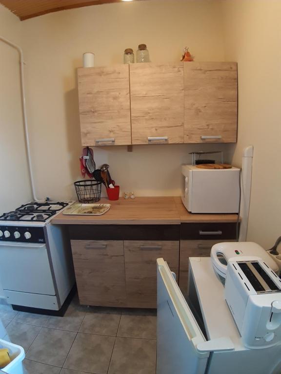 Kuchyňa alebo kuchynka v ubytovaní MiniBali Apartmanok