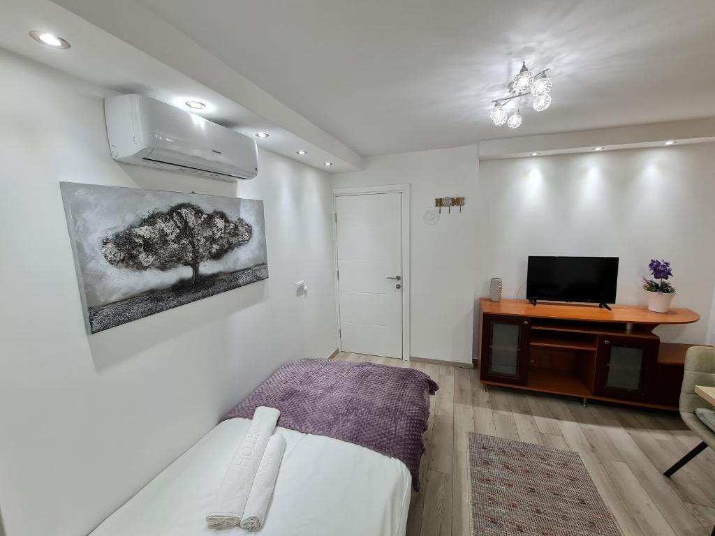 TV a/nebo společenská místnost v ubytování "Astor16" Apartments