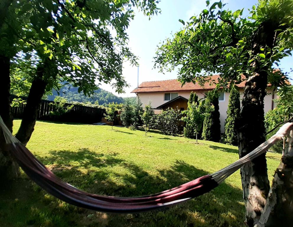 una hamaca colgando de un árbol en un patio en Casa La Munte - Zona Rucar en Cetatenii