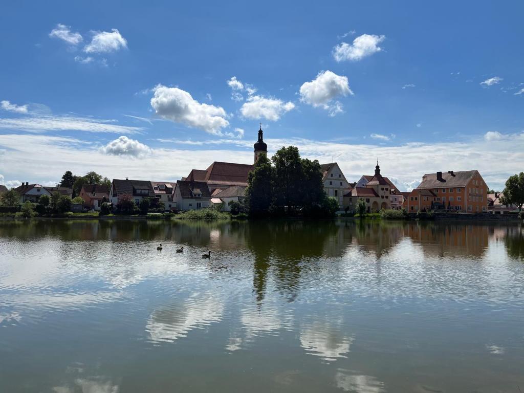 een meer met eenden in het midden van een stad bij Haus Seeblick in Allersberg