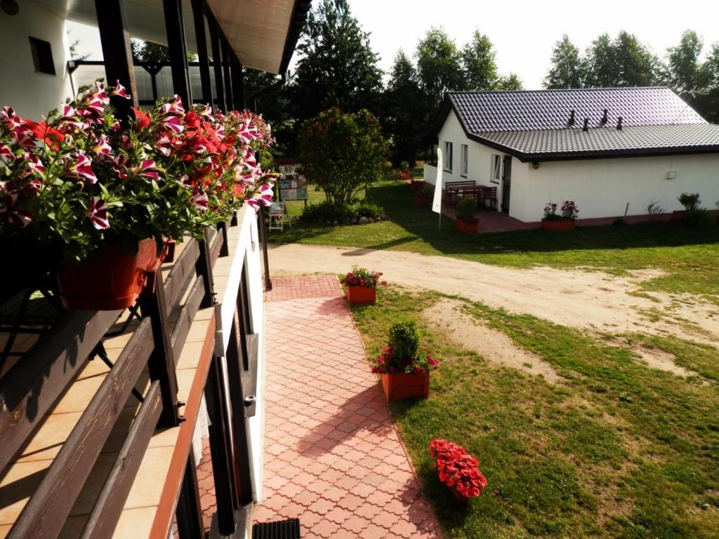 Vonkajšia záhrada v ubytovaní Biebrza24 - Agroturystyka