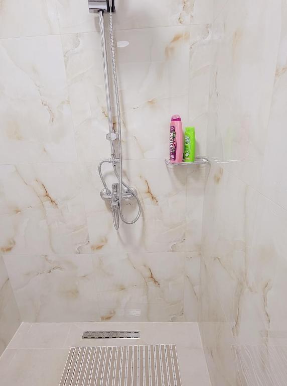 Green Studio Apartment - Image 3