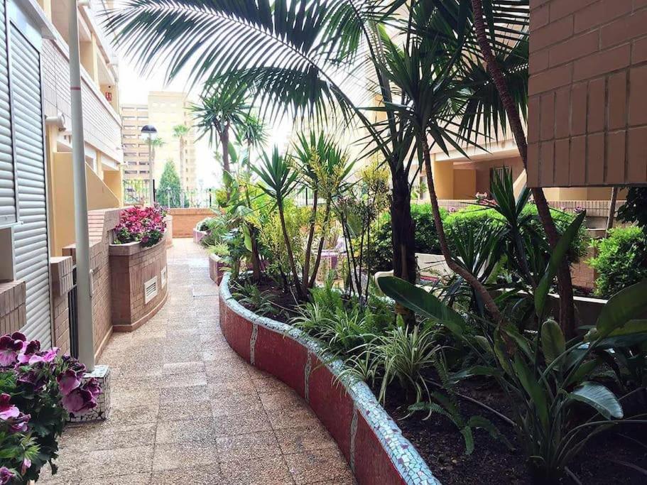 Zahrada ubytování VenAMarinador Playa Costa Caribe I - 269 - 2 Dormitorios/1 Baño WIFI