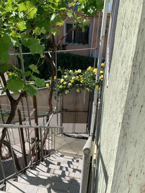 Balkón nebo terasa v ubytování Ludmila guest house - гостевой дом "Людмила"