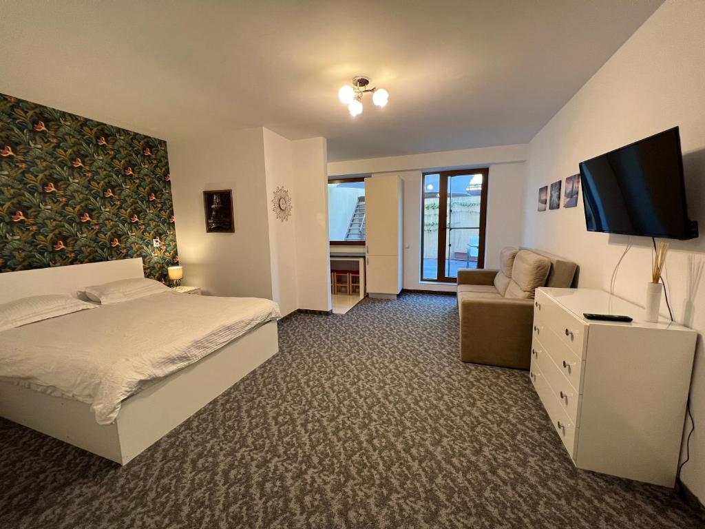 布拉索夫Coroni studio with jacuzzi的一间带床、电视和沙发的卧室