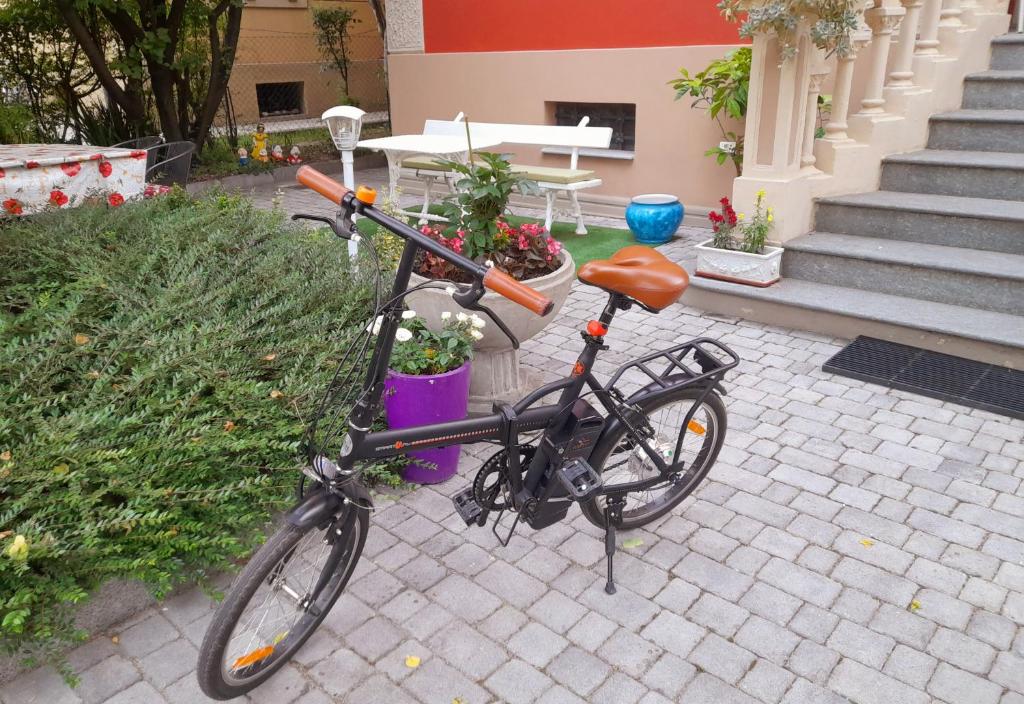 Jízda na kole v ubytování Meuble' 21 di Anna nebo okolí