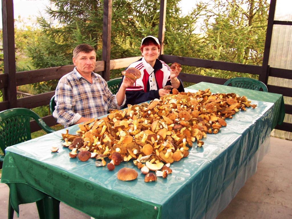 Jedlo v dovolenkovom parku alebo blízkom okolí