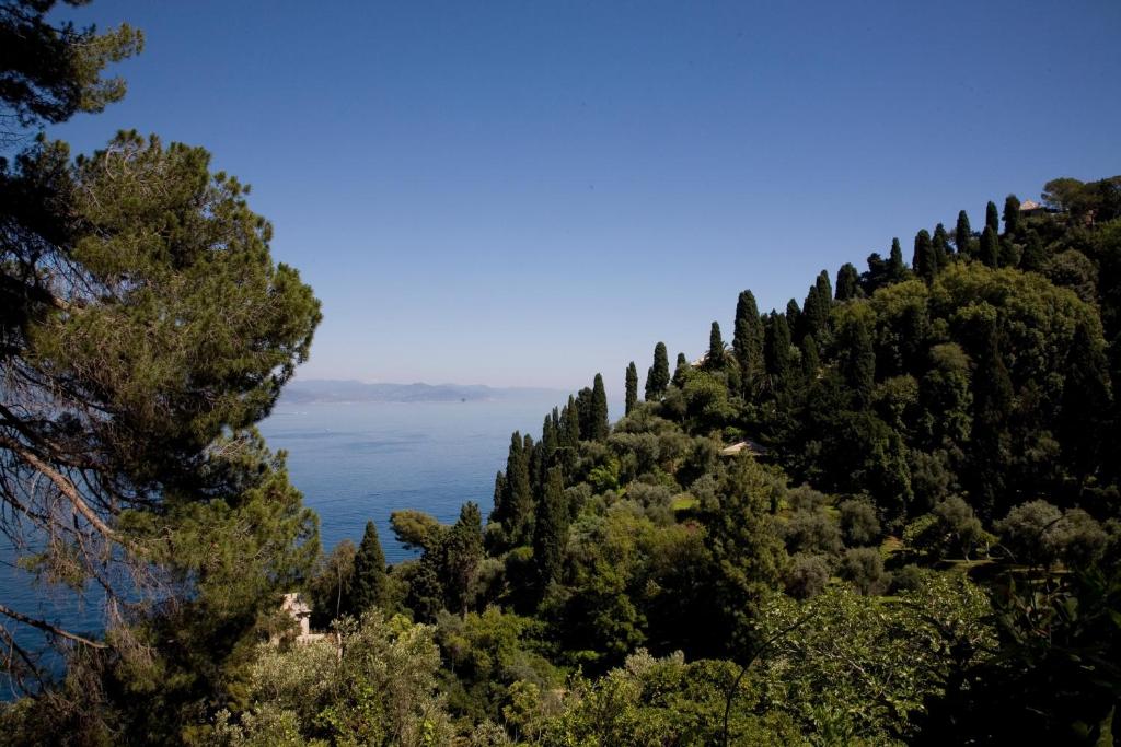 a hill with trees and a body of water at Hotel Piccolo Portofino in Portofino