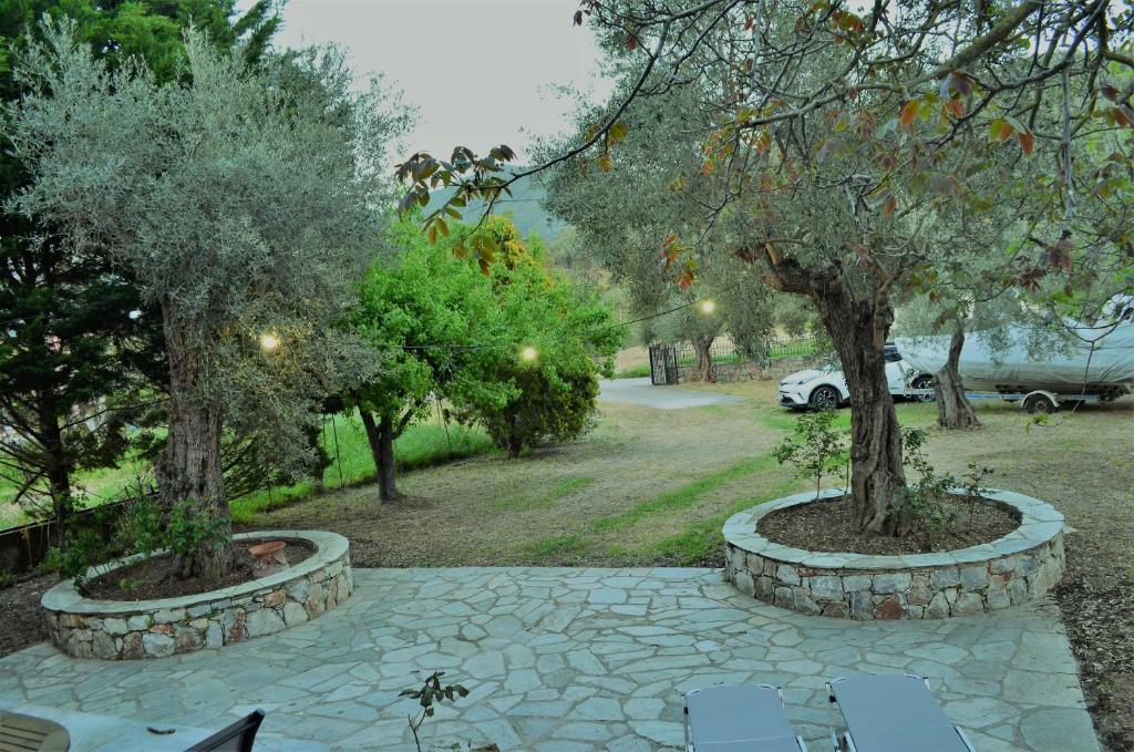 two trees in pots on a stone walkway at Villa skopelos in Skopelos Town