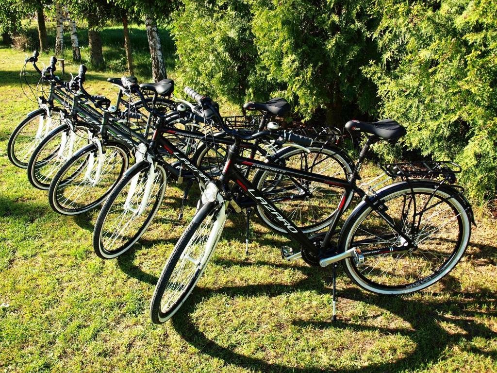 Jazda na bicykli v okolí ubytovania Biebrza24 - Agroturystyka