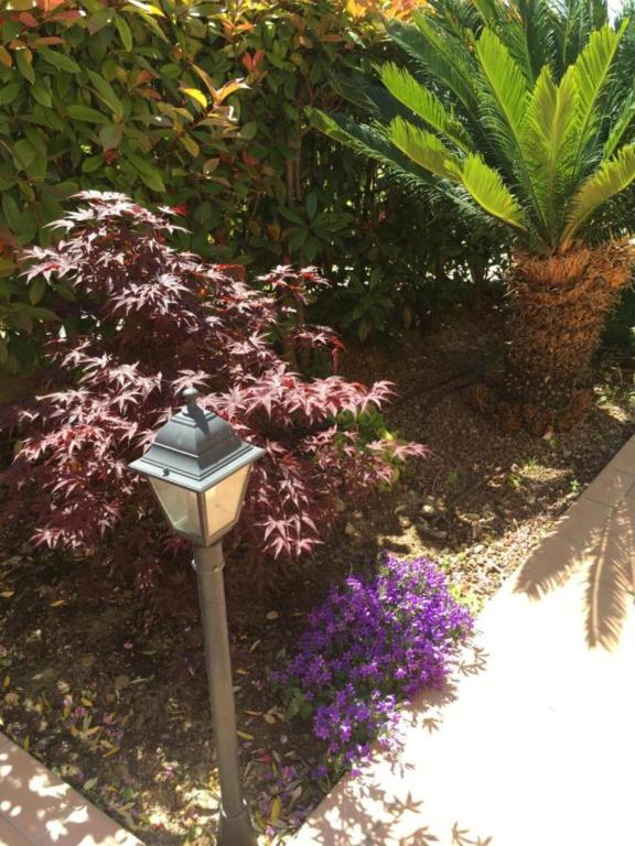 Appartamento a schiera con giardino