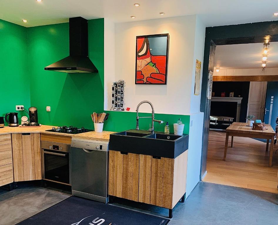 eine Küche mit grünen Wänden, einer Spüle und einem Herd in der Unterkunft Car et Art in Saint-Gervais en-Belin