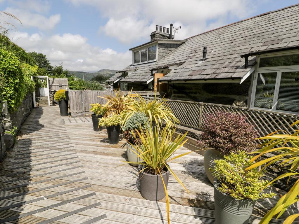 a row of potted plants on a wooden deck at The Sail Loft in Porthmadog