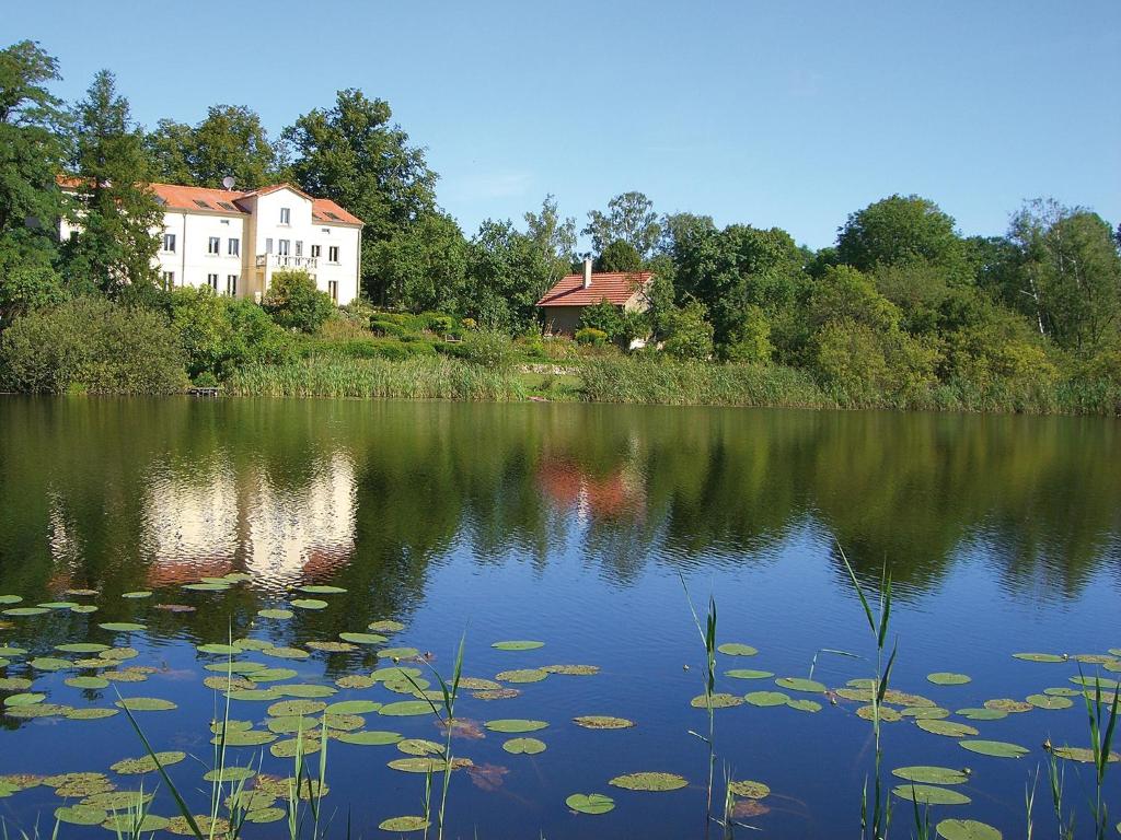 einen See mit Seerosenblättern und ein Haus im Hintergrund in der Unterkunft Villa am Trumpf - Design-Appartements im Naturgarten am See in Melzow