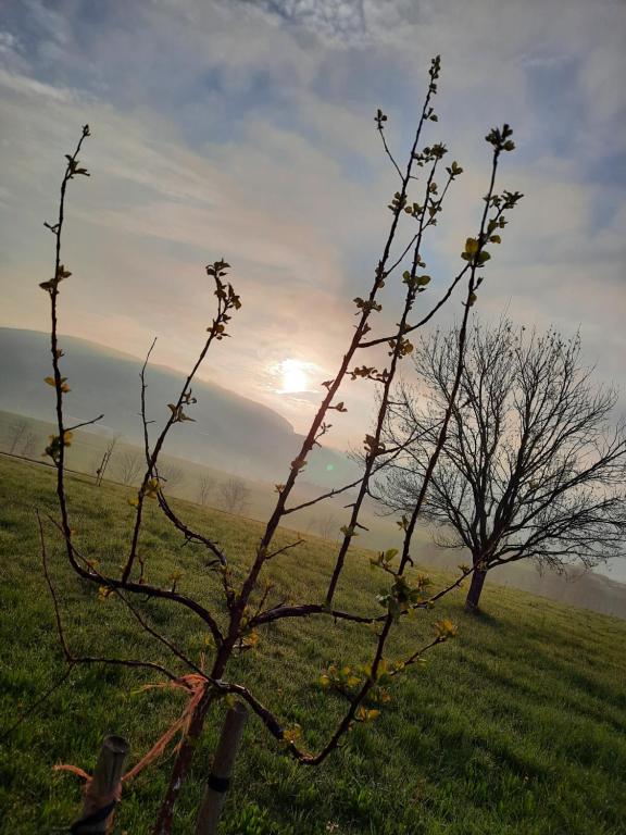 Príroda v okolí penziónu