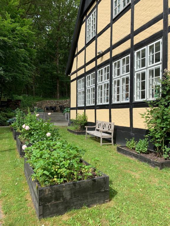 Zahrada ubytování Hotel Egeskoven